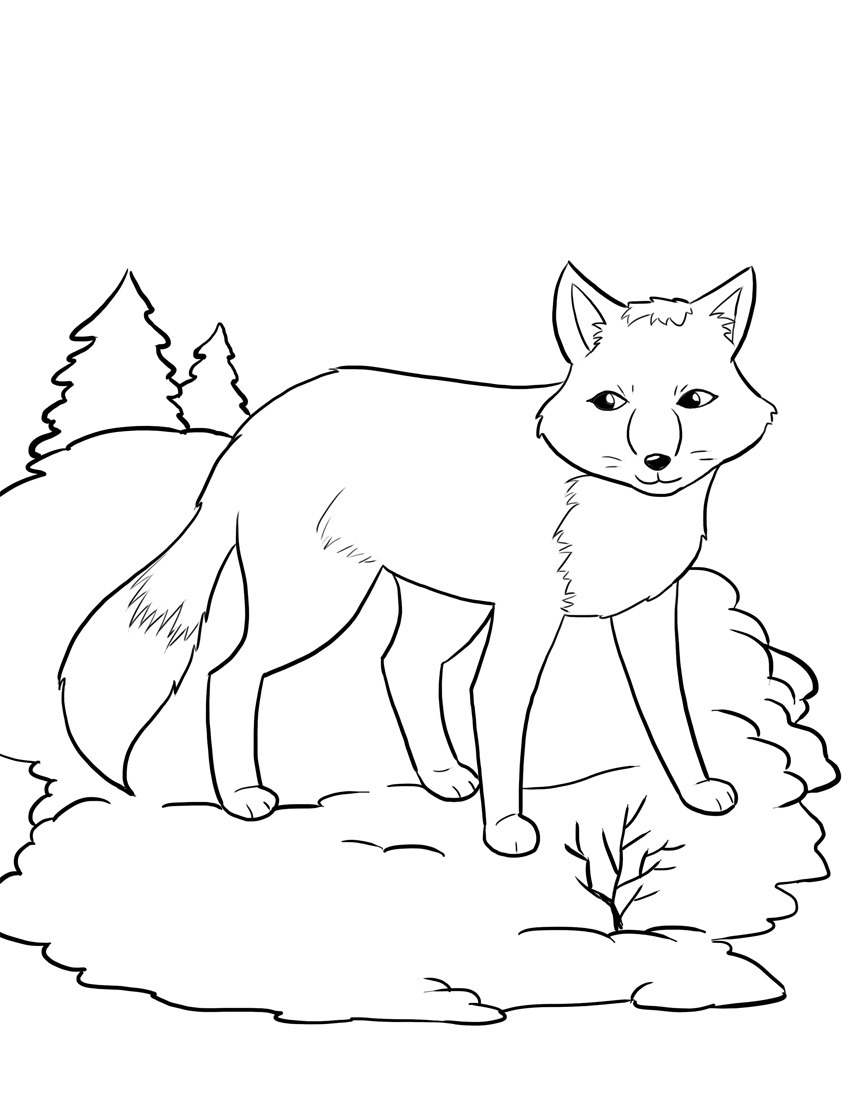 850x1100 Unique Free Printable Coloring Pages With A Cartoon Fox Gallery