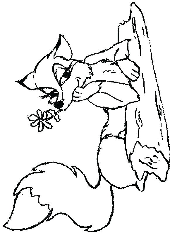 581x794 Realistic Fox Coloring Pages