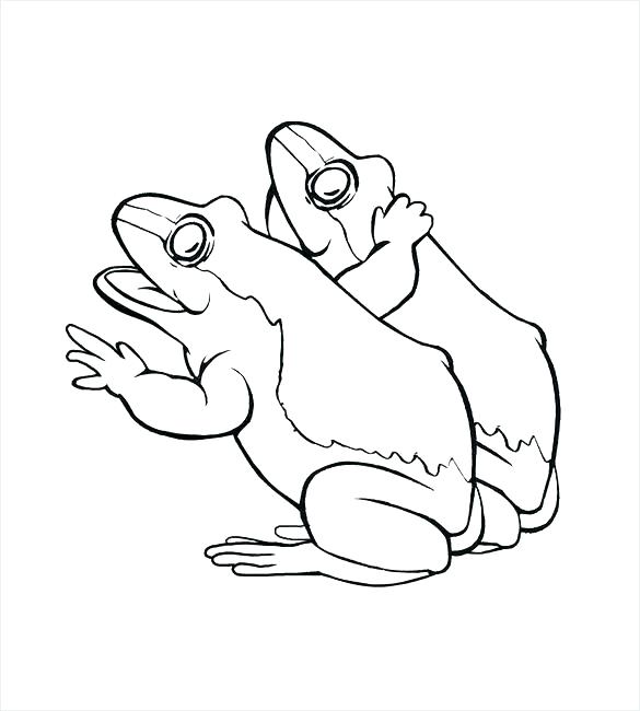 585x650 Coloring Pages Frog Princess And The Frog Coloring Pages Page