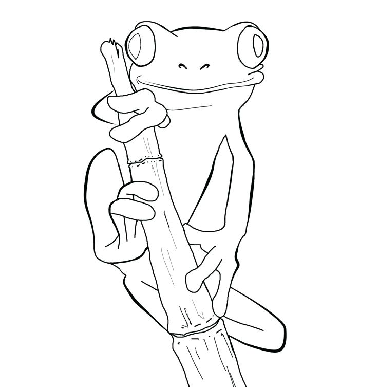 736x753 Frog Coloring Picture Frogs Coloring Pages Plus Frog Coloring