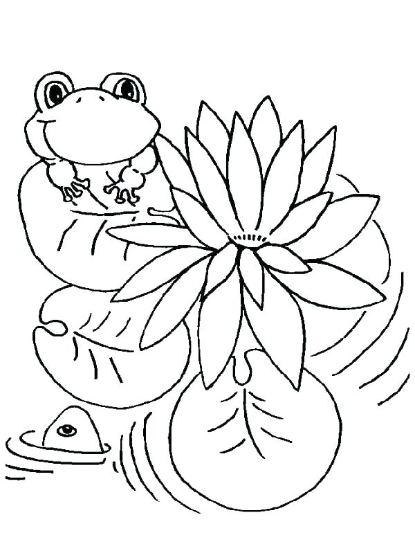 600x783 Cartoon Frog Coloring Pages