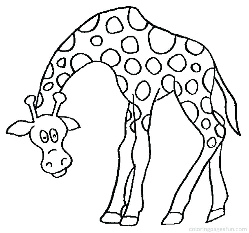 852x800 Giraffes Coloring Pages Giraffe Cartoon Coloring Giraffe