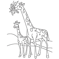 230x230 Top Free Printable Giraffe Coloring Pages Online