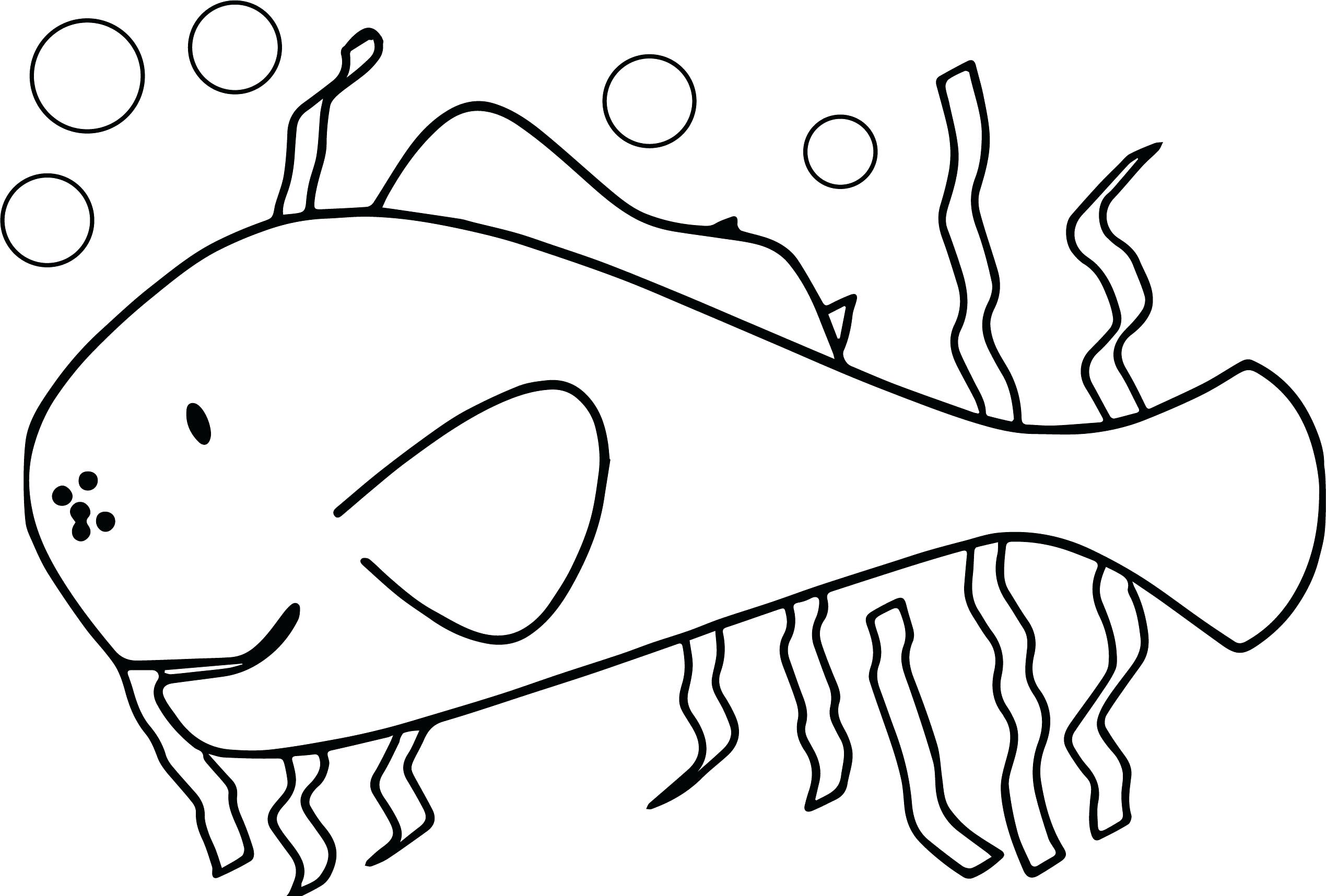 2539x1716 Underwater Fish In The Sea Submarine Coloring Page Cartoon Giraffe