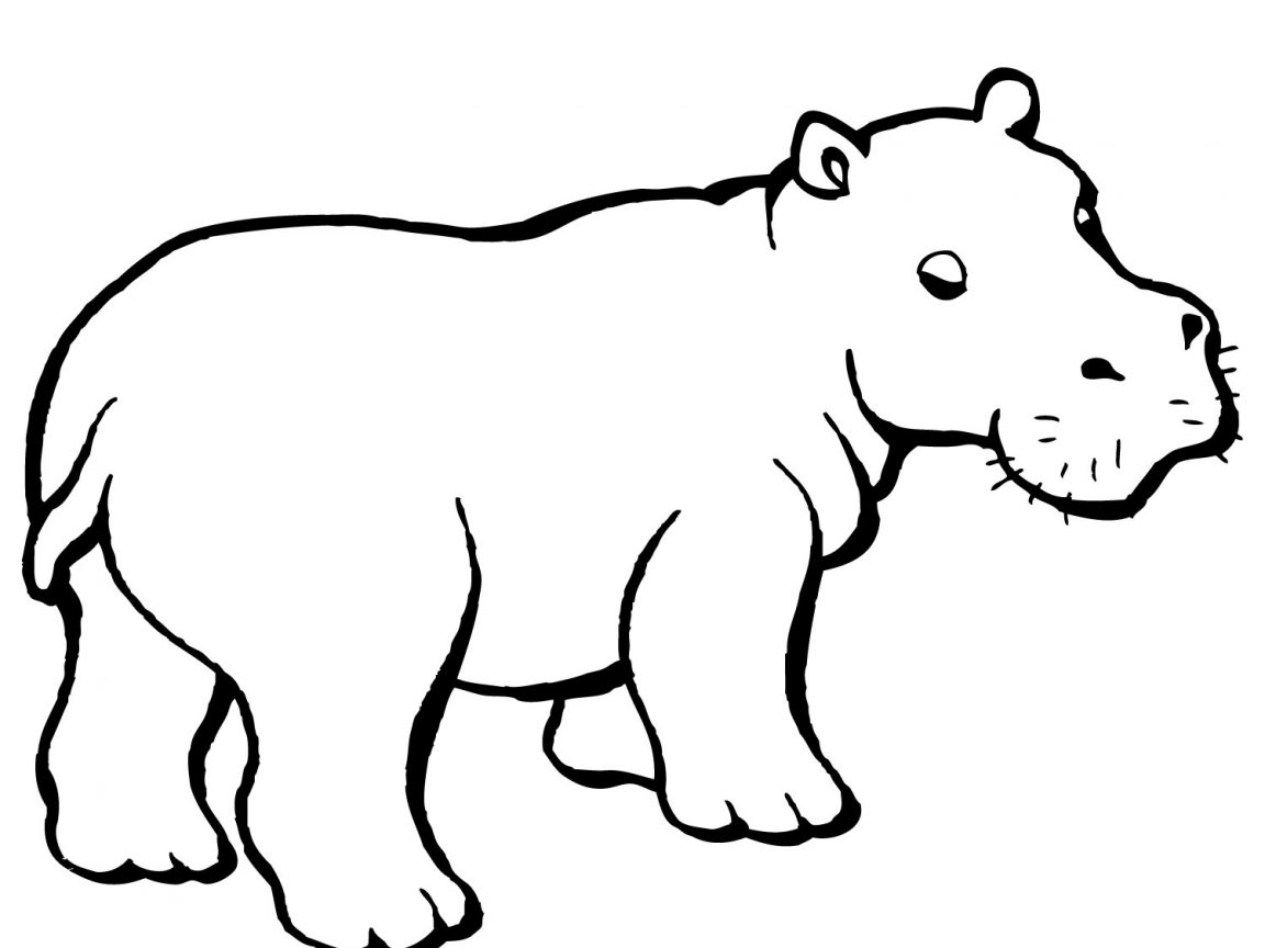 1152x864 Baby Hippo Coloring Pages Colouring Page Of Letter H With Cute