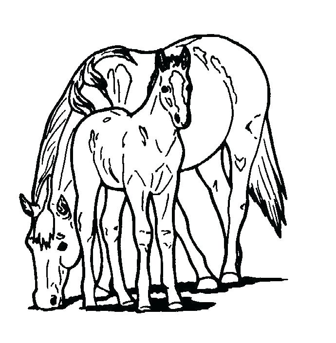 690x705 Free Horses Coloring Pages For Kids Printable Coloring Sheets
