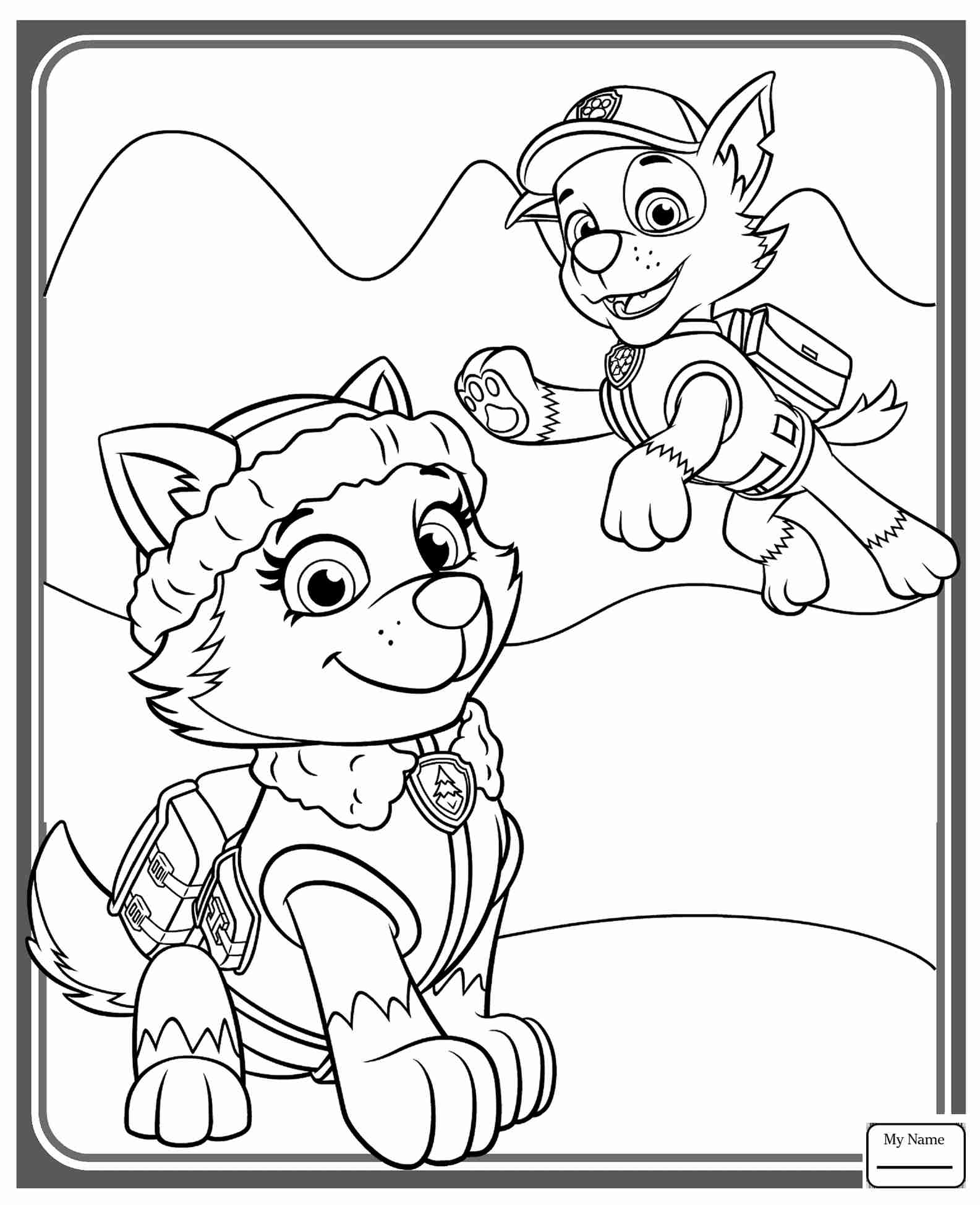 1585x1950 Cartoons Everest And Rocky Paw Patrol Coloring Pages For Kids