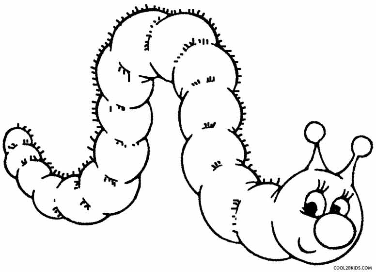 776x560 Printable Caterpillar Coloring Pages For Kids