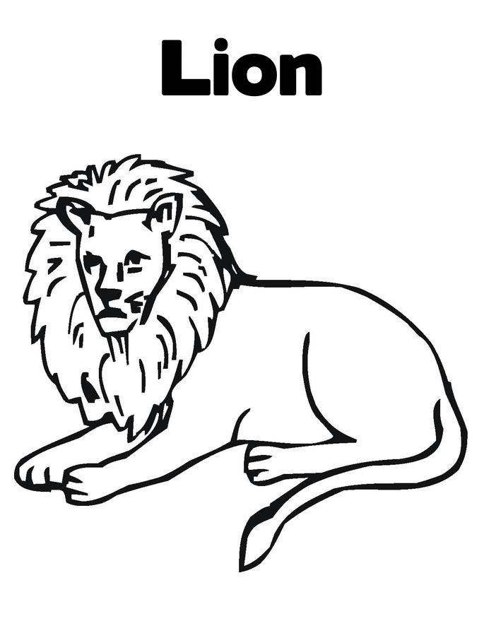 685x886 Free Printable Lion Coloring Pages For Kids