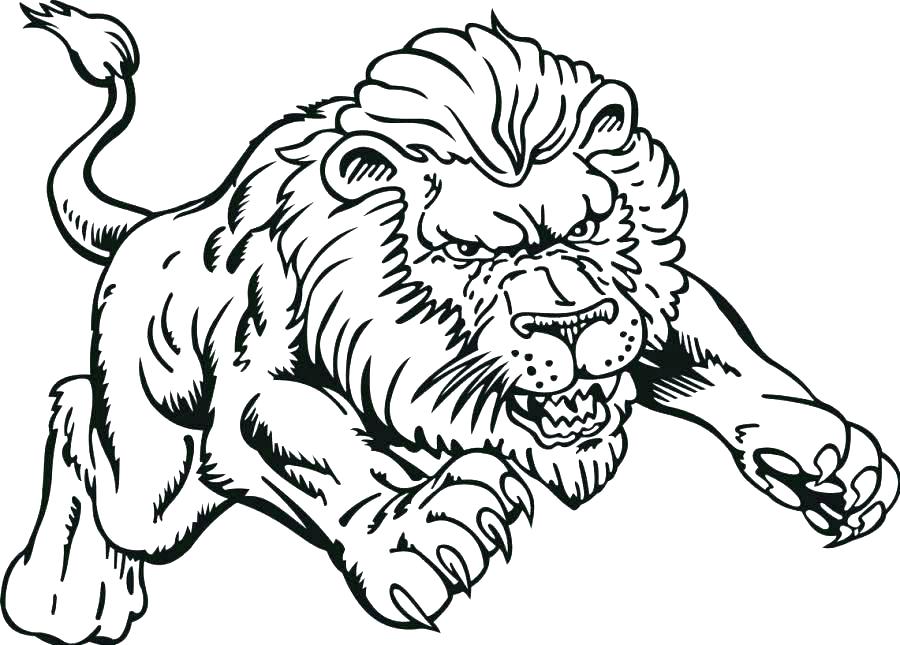 900x645 Baby Lion Coloring Pages Baby Lion Free Printable Lion Coloring