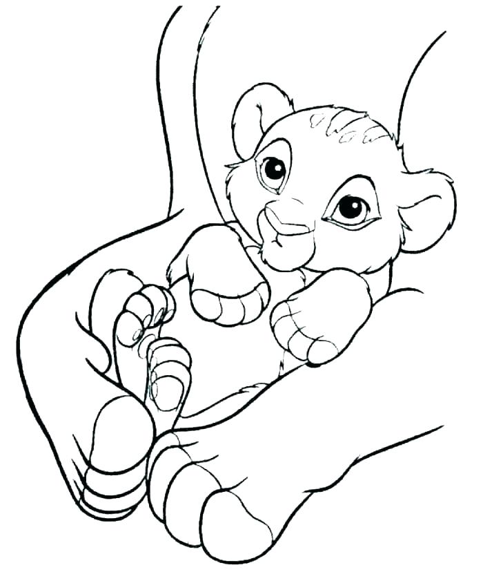 700x828 Baby Lion Coloring Pages