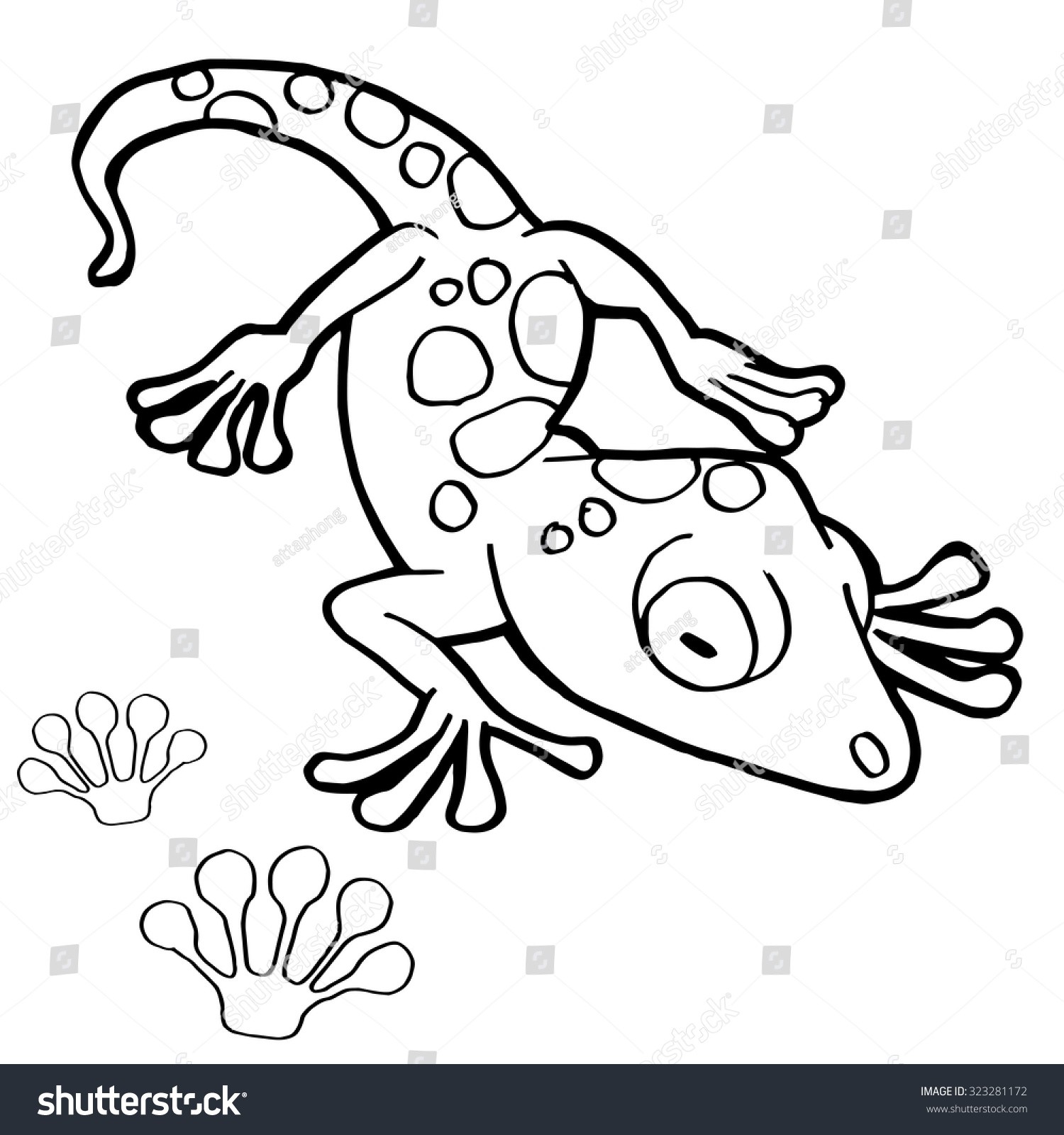1500x1600 Gecko Coloring Page Leopard Lizard Pages Printable Cartoon