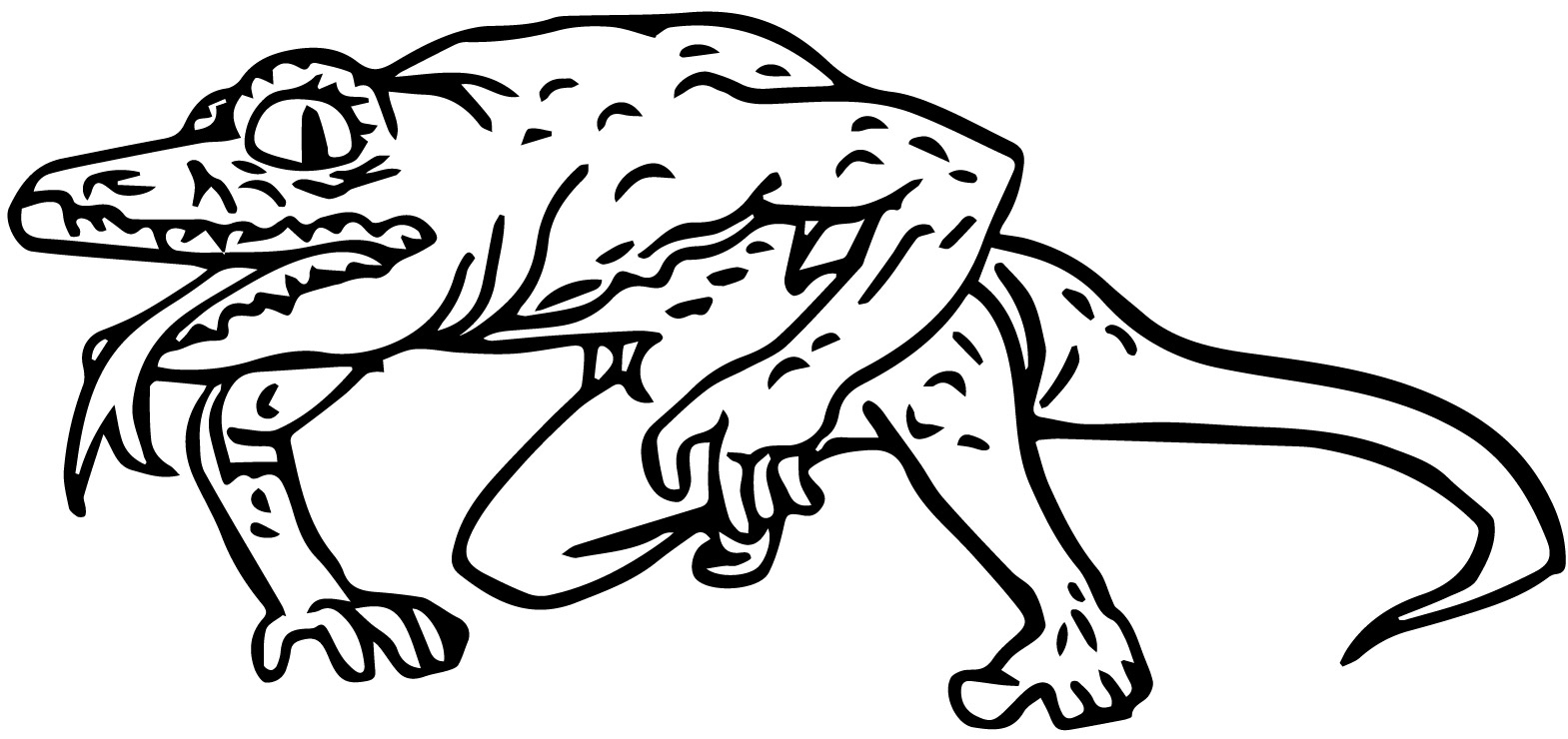 1569x740 Lizard Coloring Pages