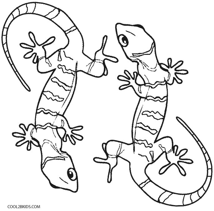 685x676 Printable Lizard Coloring Pages