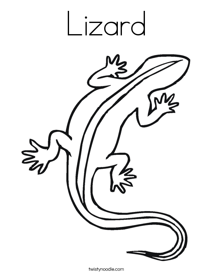 685x886 Lizard Coloring Page Birthday Party