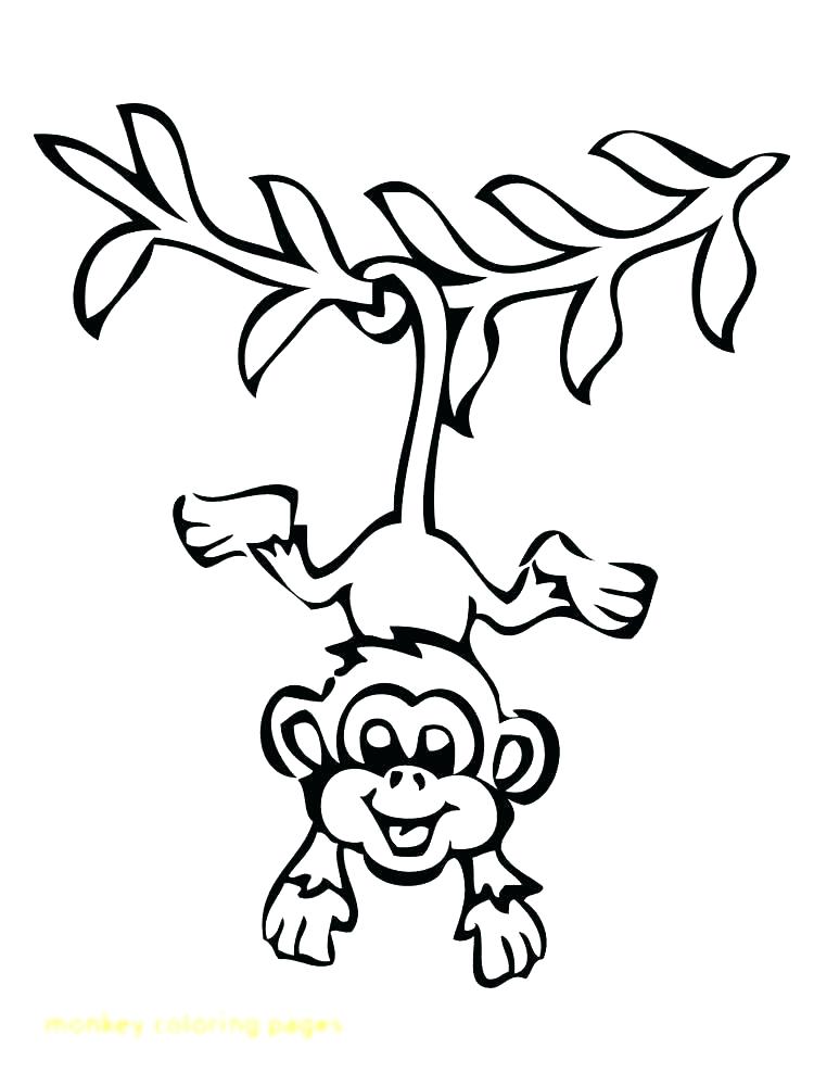 750x1000 Cartoon Monkey Coloring Pages Monkey Color Pages Monkey Cartoon