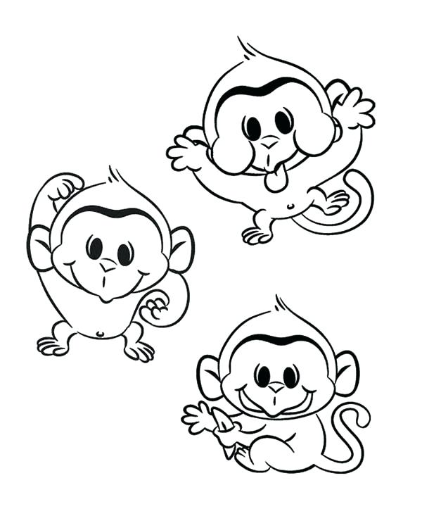 600x750 Monkeys Coloring Pages Monkey Three Funny Monkey Coloring Cute