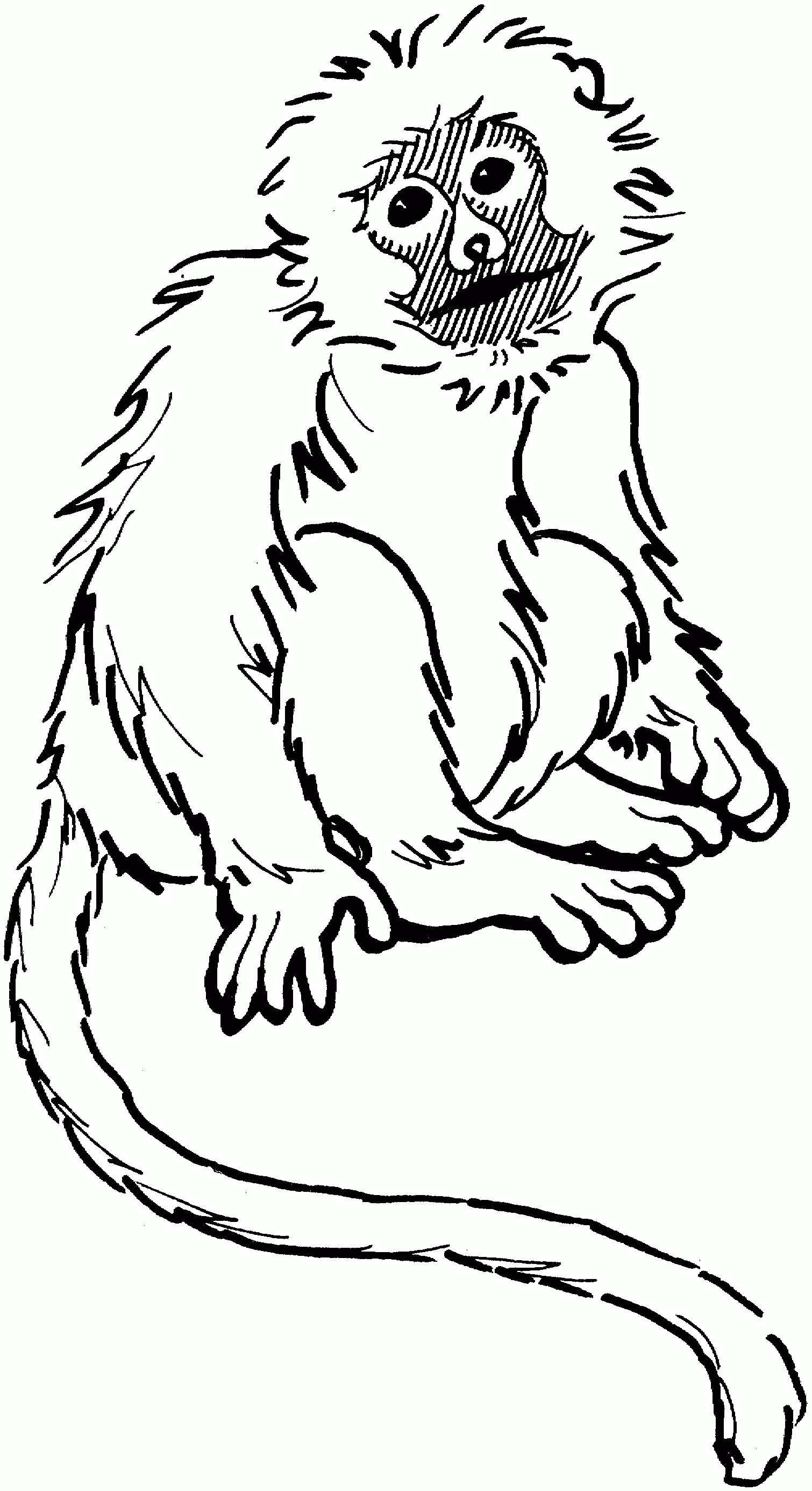 1510x2771 Awesome Cartoon Monkey Coloring Pages Gallery Printable Coloring