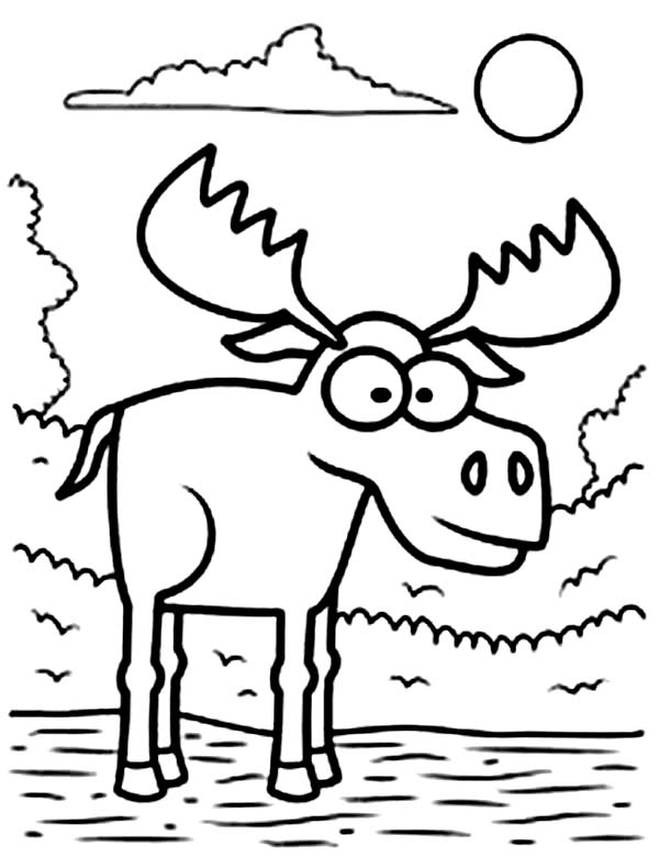 600x780 Big Eyed Moose Coloring Page