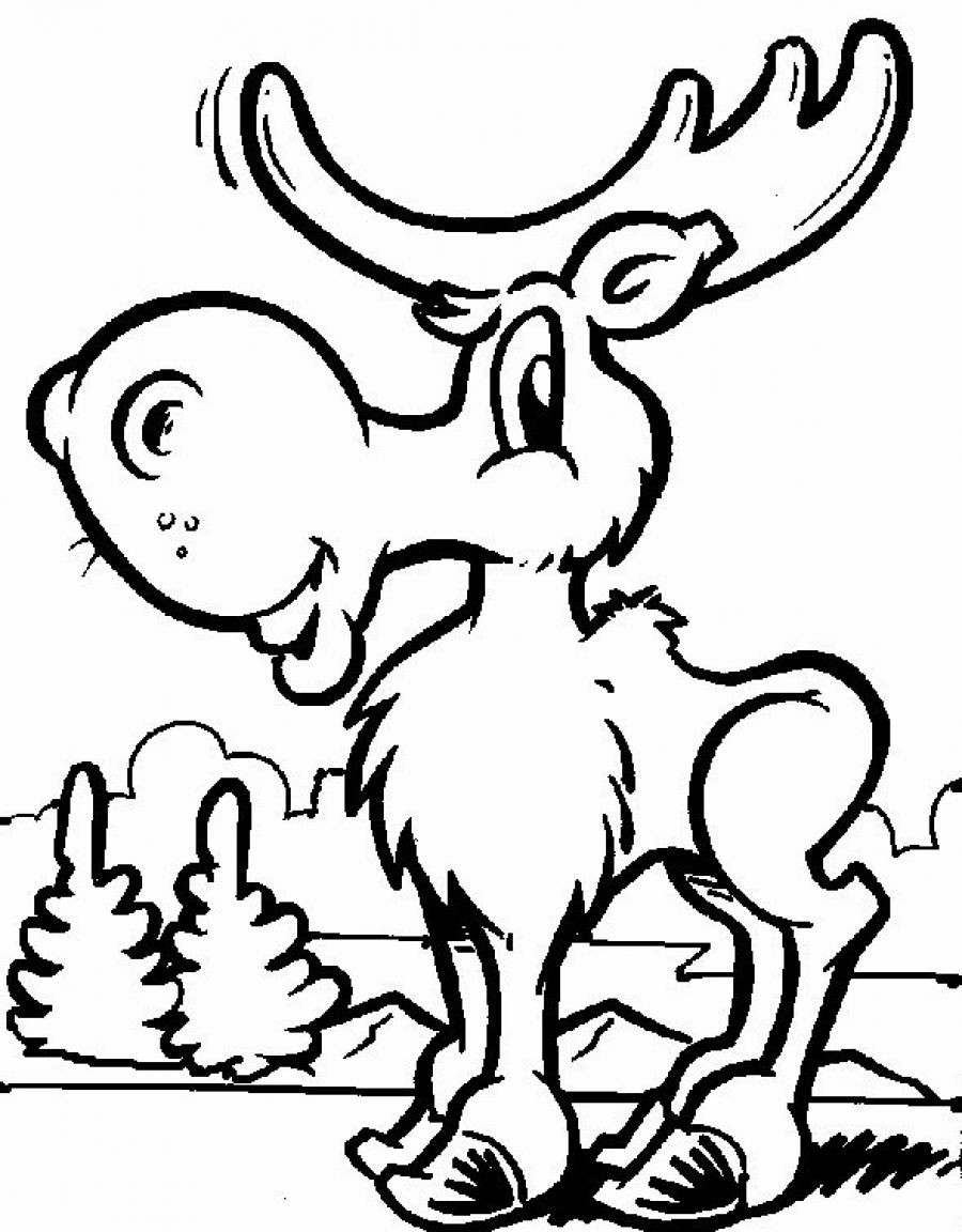 900x1152 Moose Coloring Pages Printable Fresh Moose Drawing Cartoon