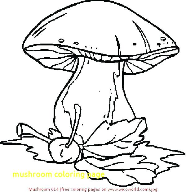 600x617 Inspirational Mushroom Coloring Page And Mushroom Coloring Page