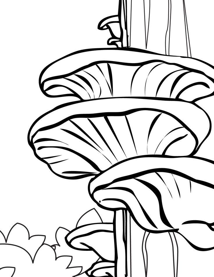 736x952 Cartoon Mushrooms Coloring Pages