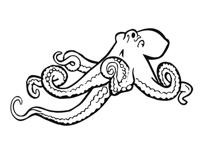 700x500 Octopus Coloring Page Printable Free Coloring Pages