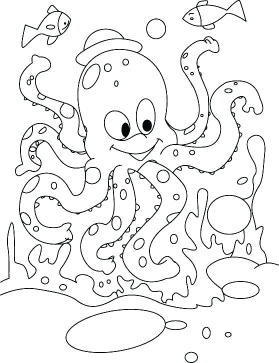 558x726 Octopus Coloring Pages Free Printable Octopus Coloring Pages