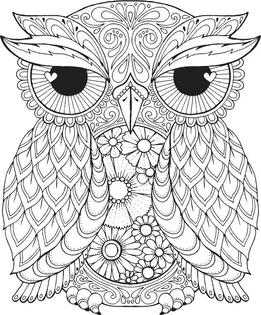 535x645 Awesome Owl Coloring Pages In Gallery Coloring Ideas With Owl