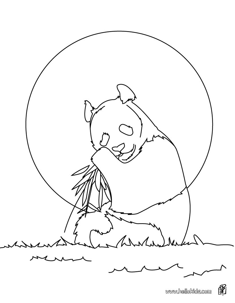 820x1060 Giant Panda Coloring Pages Free For Page