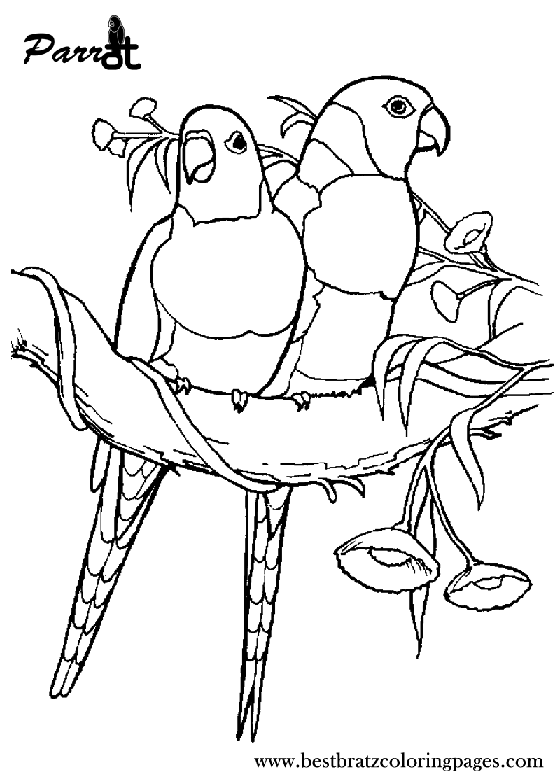 800x1120 Free Printable Parrot Coloring Pages For Kids Lapa