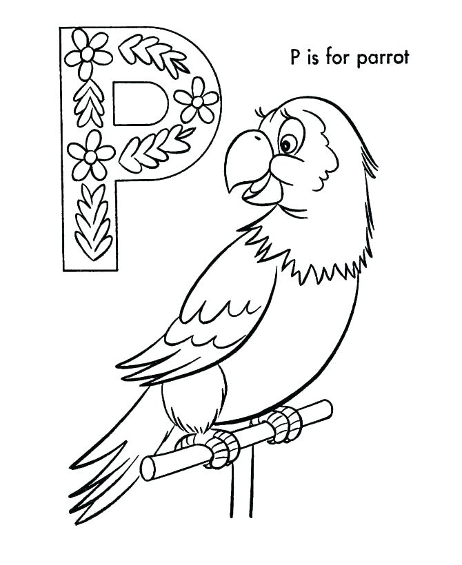 670x820 Parrot Coloring Page Parrots Coloring Pages Macaw Coloring Pages
