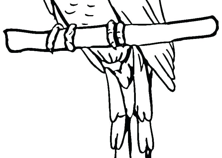 765x544 Parrot Coloring Pages Printable Animals Free Parrots Sheets