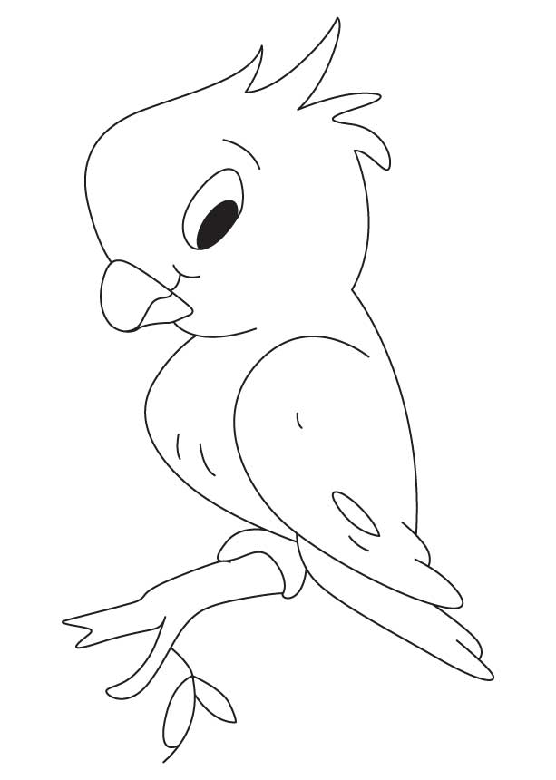 613x860 Baby Parrot Coloring Pages Color Bros