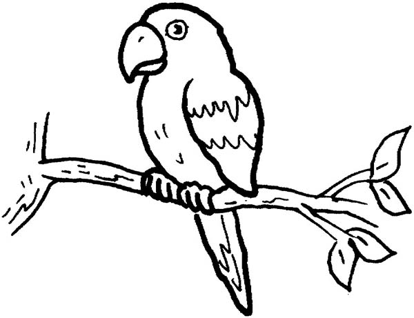 600x461 Parrot Colouring Sheet