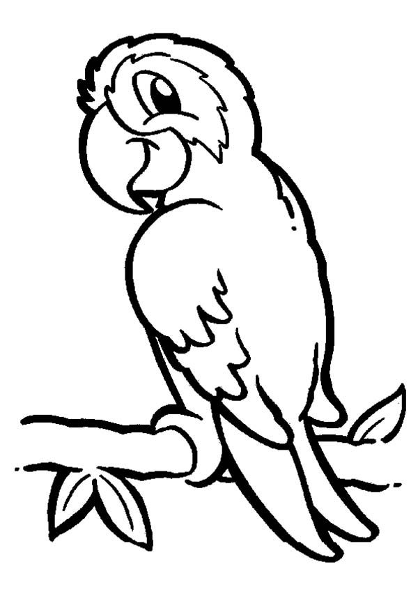 600x849 Cartoon Parrot Coloring Pages