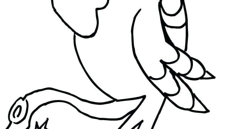 807x450 Chibi Coloring Page Parrot Coloring Page Cartoon Chibi Anime