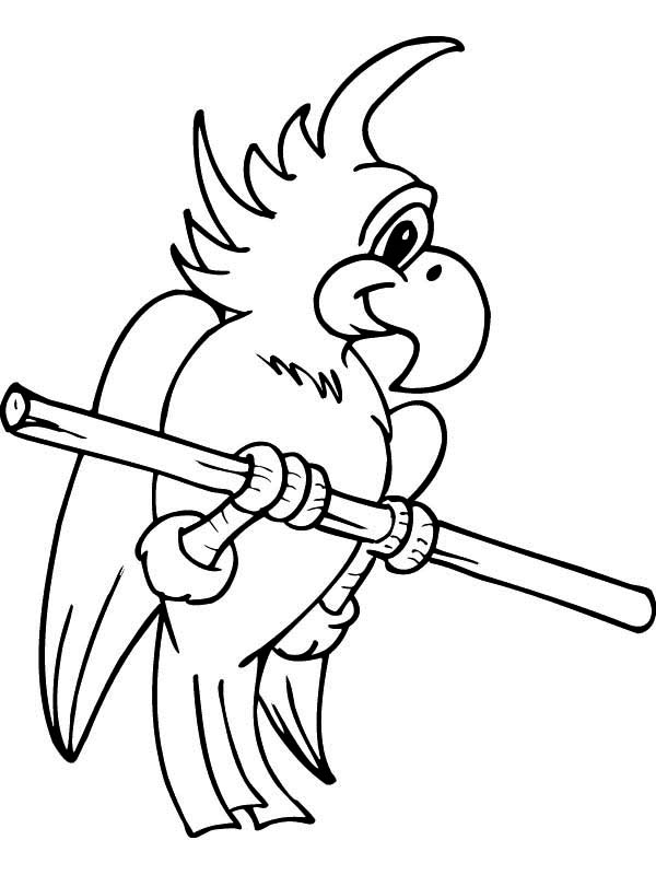 600x800 Cute Parrot Coloring Page Cute Parrot Coloring Page Color Nimbus
