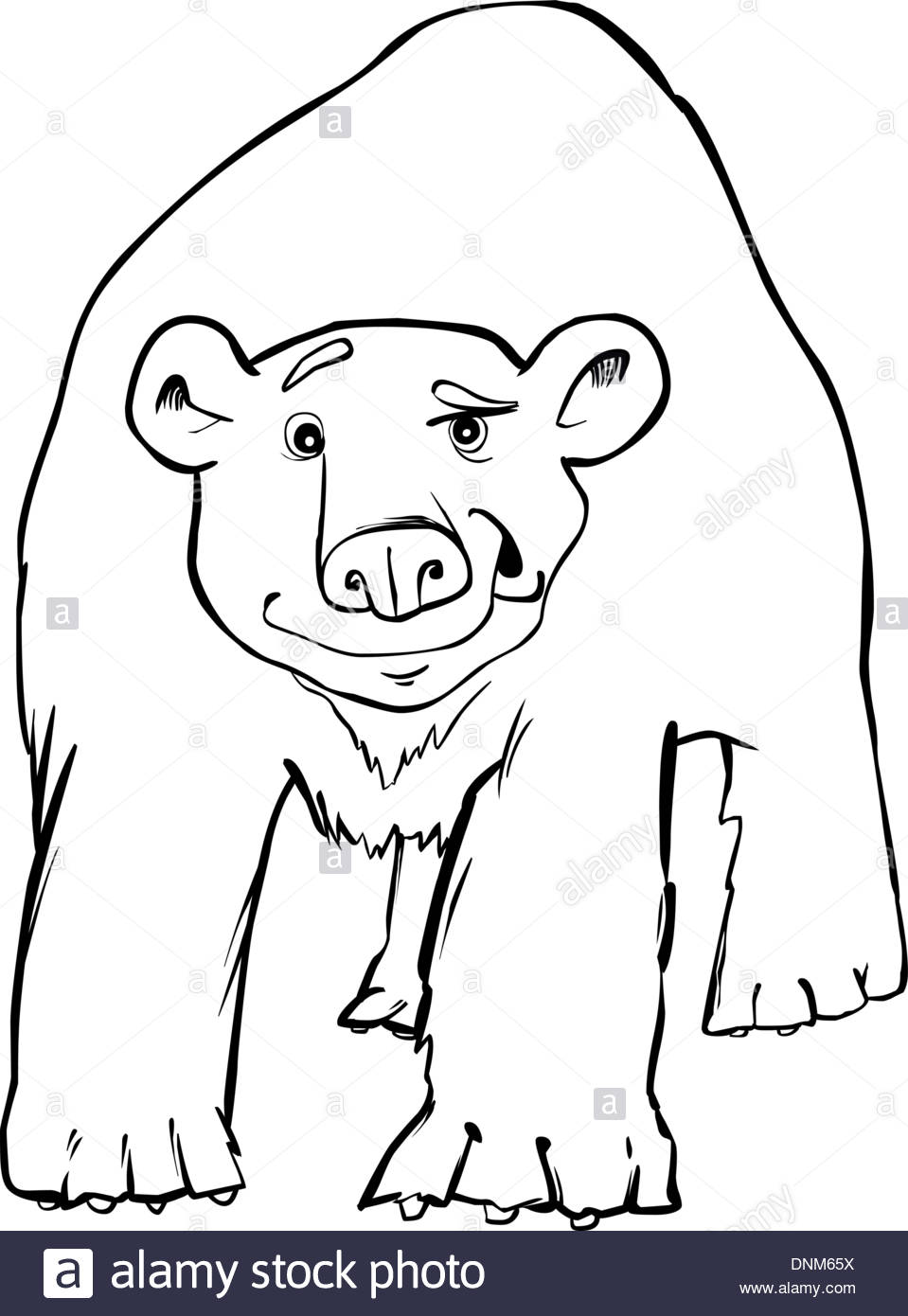 959x1390 Cartoon Illustration Of Funny Polar Bear Coloring Page Stock
