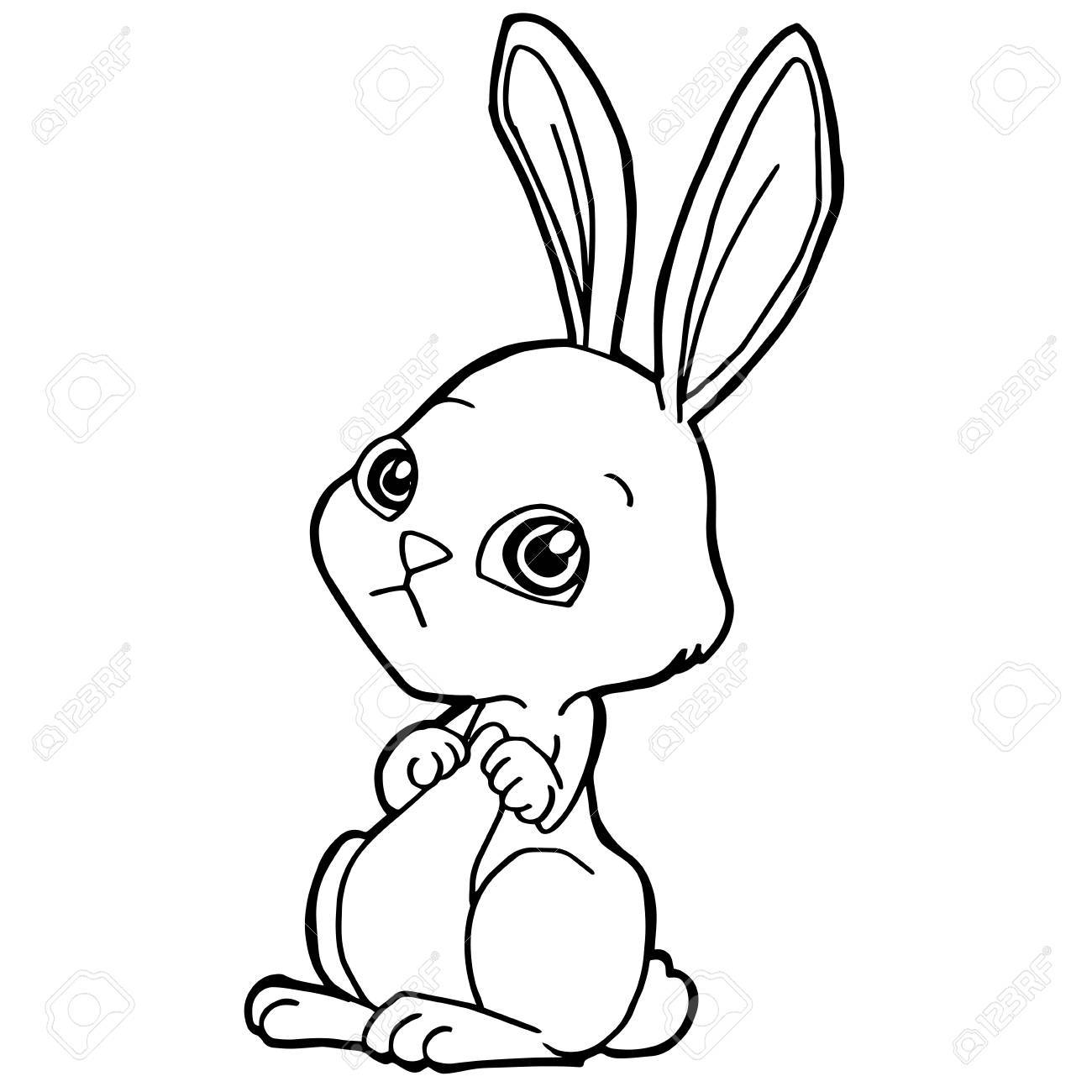 Cartoon Rabbit Coloring Pages at GetDrawings.com | Free for personal