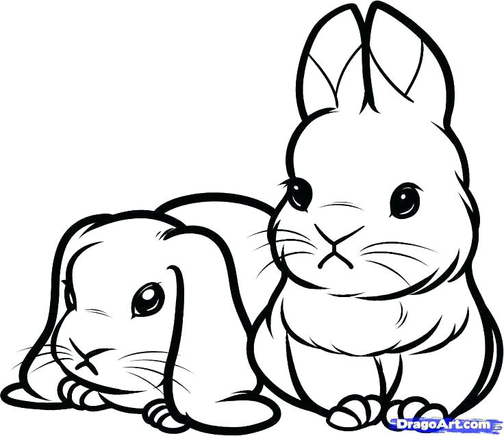736x637 Bunny Coloring Pages Printable Of Bunnies As Well Print Color