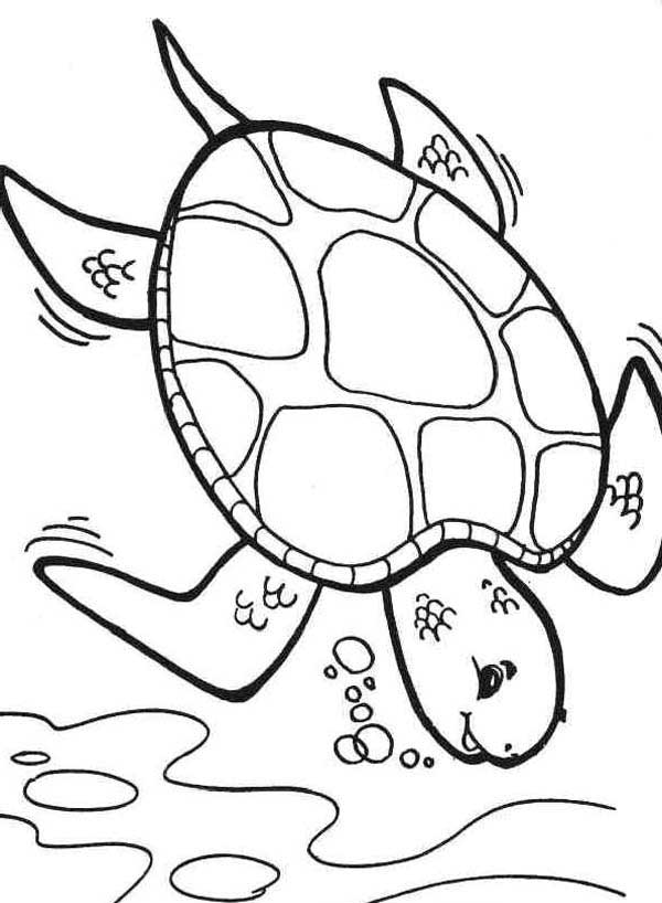 600x818 Diving Deeper Sea Turtle Coloring Page