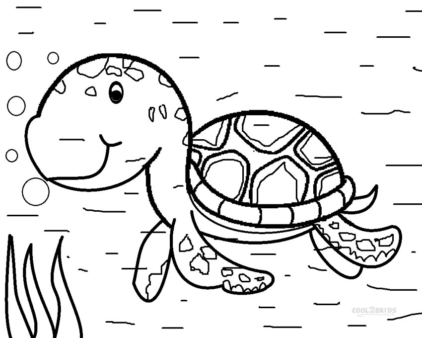 850x680 Sea Turtle Coloring Page Lovely Cartoon Sea Turtle Coloring Pages