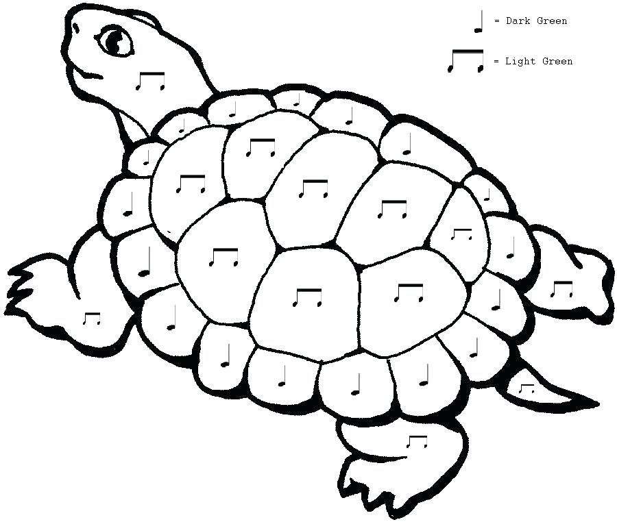 900x762 Sea Turtle Coloring Page Printable Cartoon Turtle Coloring Pages