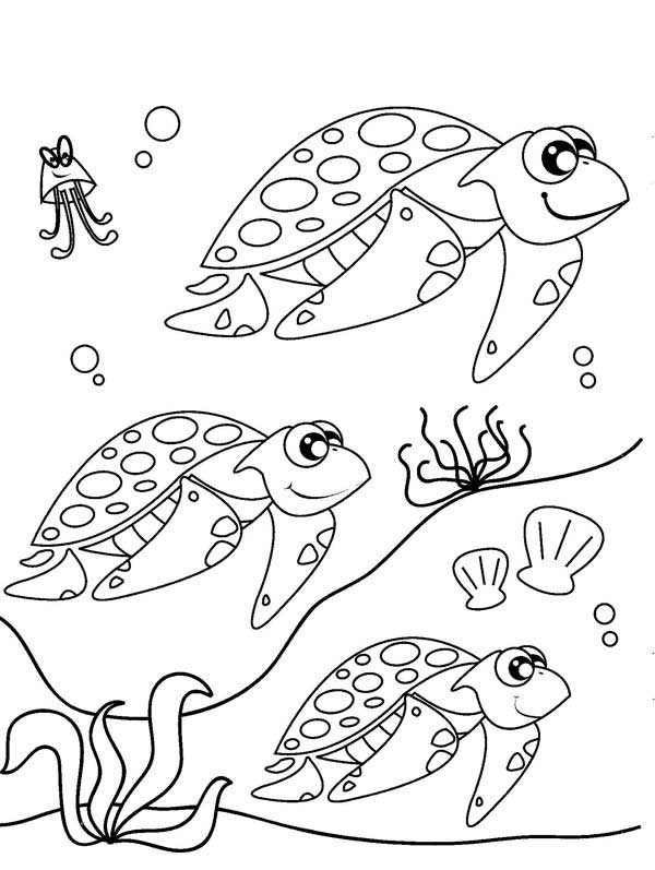 600x797 Sea Turtle Coloring Pages