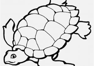 300x210 Turtle Coloring Pages Photo Cartoon Turtle Coloring Pages