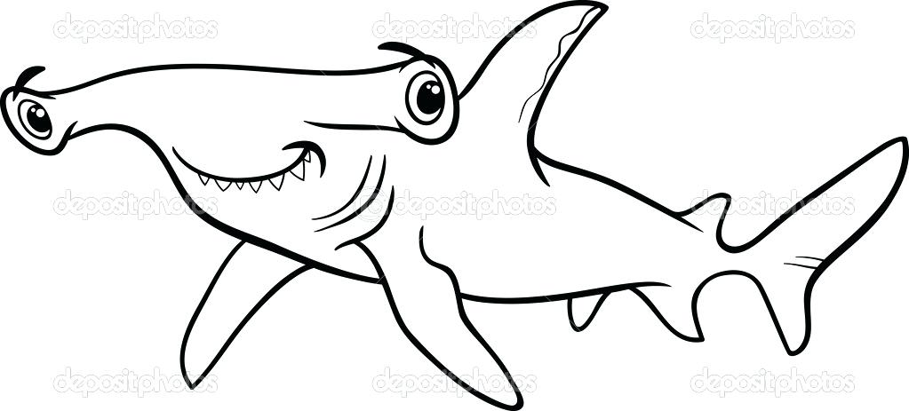 1023x463 Hammerhead Shark Coloring Page