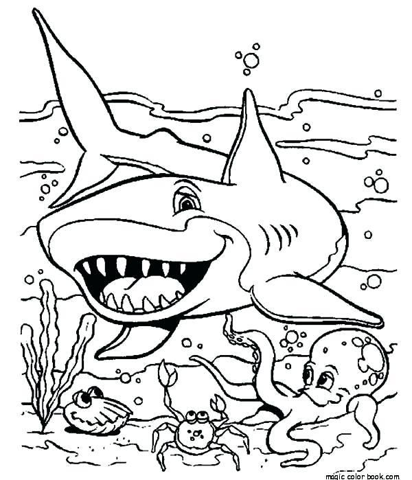 600x699 Shark Coloring Pages Printable Coloring Page Shark Sharks Coloring