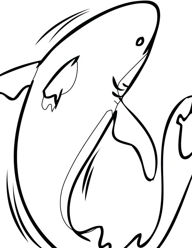 640x828 Bull Shark Coloring Pages