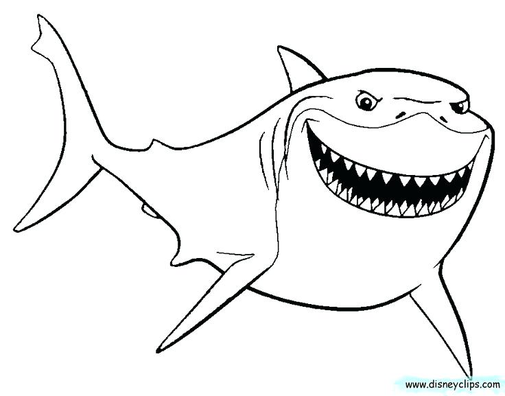 736x577 Best Coloring Pages Images On Coloring Books Cartoon Shark